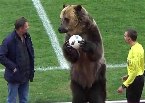 bear Russiun WordCup