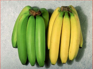 Banani