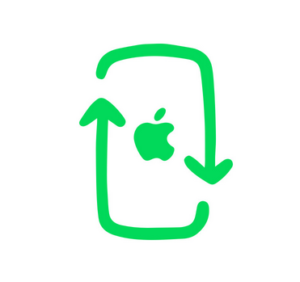 apple-300x282